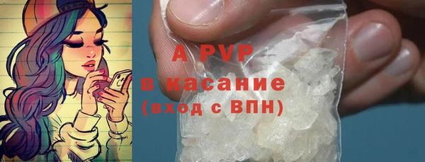 apvp Вяземский